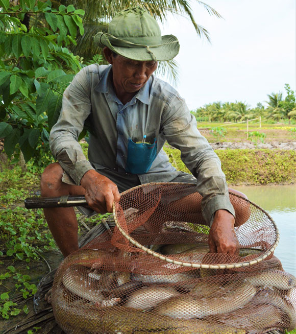 Đua tranh làm giàu ở CLB 200 triệu