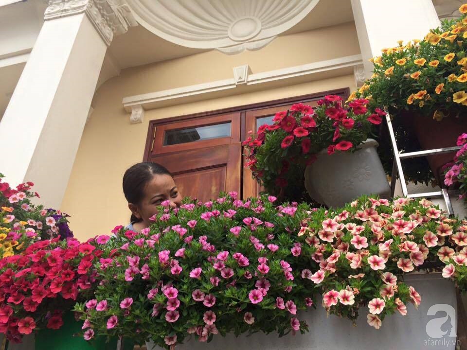 Chị gái của chị Thúy - người đã có công rất lớn trong việc chăm sóc những chậu hoa rực rỡ.