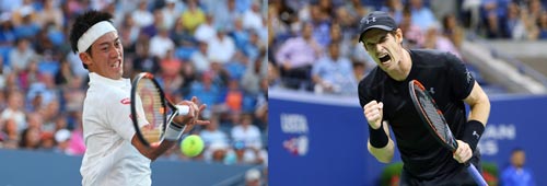 Hấp dẫn cuộc chạm trán Murray - Nishikori