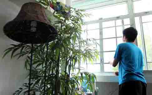 Chán sống vì bị ép học