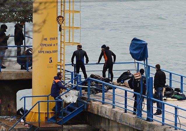 Vụ rơi máy bay Tu-154: Chim kẹt trong động cơ?