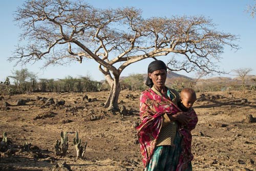 El Nino làm khổ thế giới