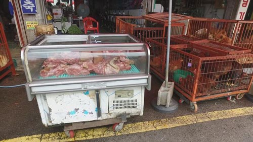 Cuộc chiến chống ăn thịt chó