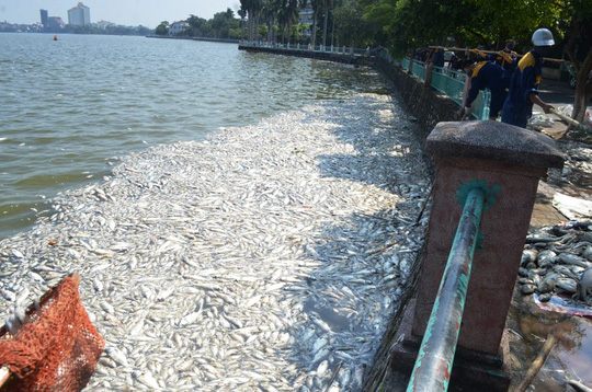 Phó Thủ tướng giao Bộ Công an vào cuộc vụ cá chết ở Hồ Tây