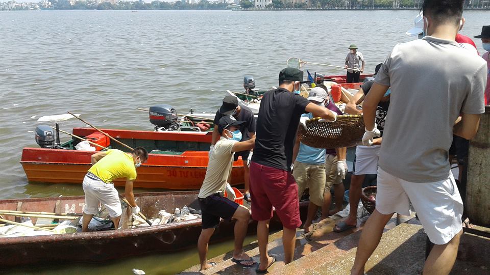
Từng th&uacute;ng c&aacute; chết được đưa l&ecirc;n bờ

