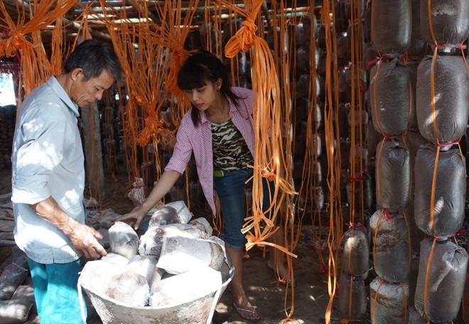 Ngo&agrave;i l&agrave;m gi&agrave;u, &ocirc;ng Thạch c&ograve;n tạo việc l&agrave;m cho nhiều lao động ở địa phương. Ảnh: Nguyễn Dương.