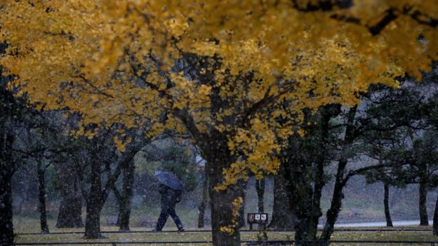 Ảnh: REUTERS
