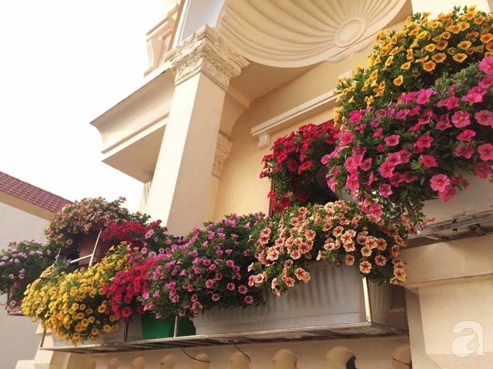 Khoảng không gian ngoại thất ngập tràn hoa triệu chuông.