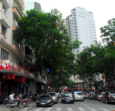 Nhà giàu “khóc thét” vì chỗ đậu xe