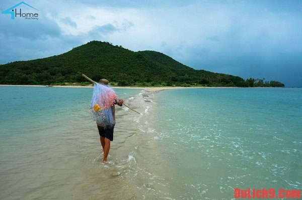 Kinh nghiệm du lịch đảo Điệp Sơn tự túc siêu đầy đủ, chi tiết