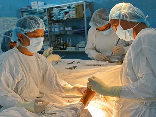Viện phí tăng 30%