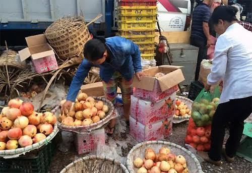 Bán hoa quả Trung Quốc thu lãi “khủng” và cái giá phải trả