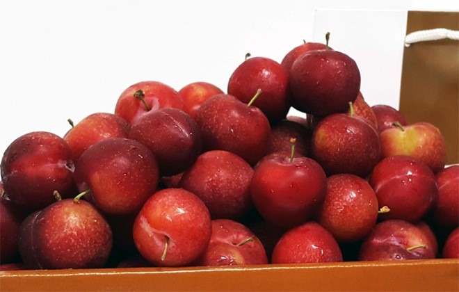 Chê mận Việt, nhà giàu Hà Nội mua mận Mỹ 600.000/kg