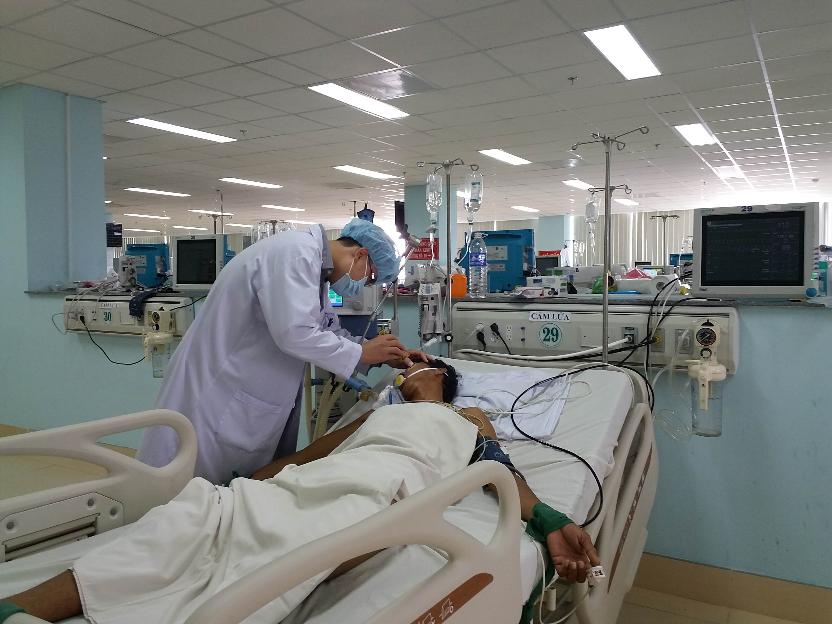 5 người suýt mất mạng vì ăn cá nóc