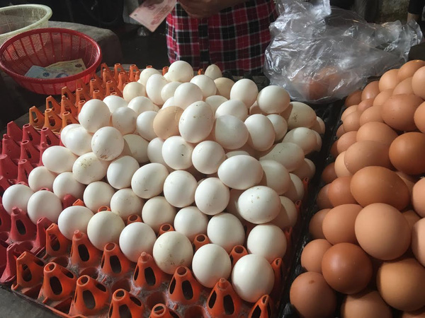 Bí ẩn trứng gà ta giá rẻ bán đầy chợ