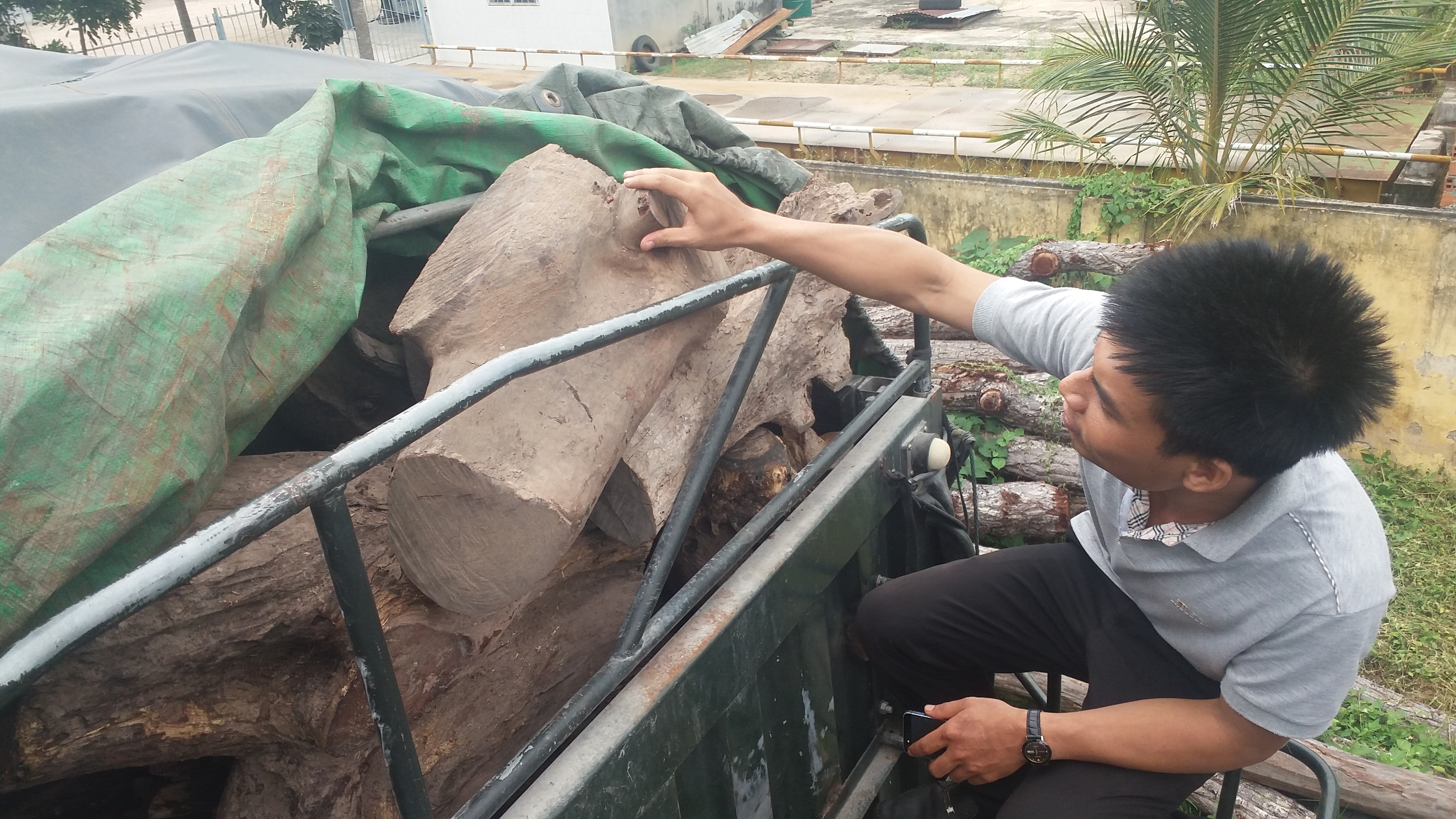 Tạm giữ xe chở gỗ quý "khủng"
