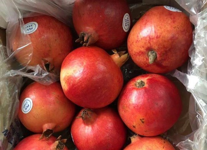 Quả lựu "khổng lồ" giá 350.000 đồng/kg tại Hà Nội