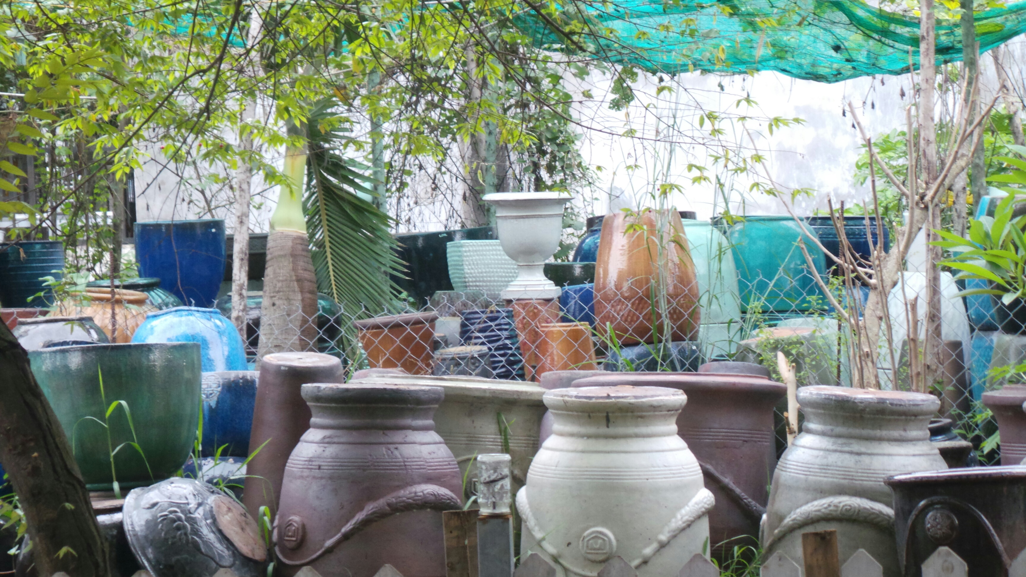 làLu khạp ứ đọng nước mưa tiềm ẩn cho lăng quăng, muỗi sinh sống trên địa bàn quận 2.