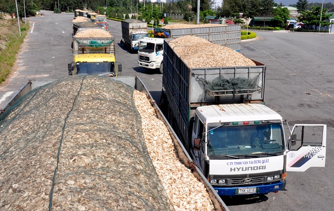 Doanh nghiệp gặp khó vì lệ thuộc thị trường Trung Quốc