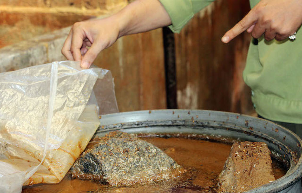 Hãi hùng với 5.000 kg mắm cá tra có dòi bò lúc nhúc