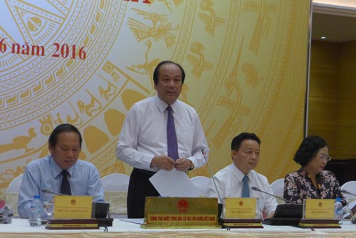 Đã xác định nguyên nhân cá chết