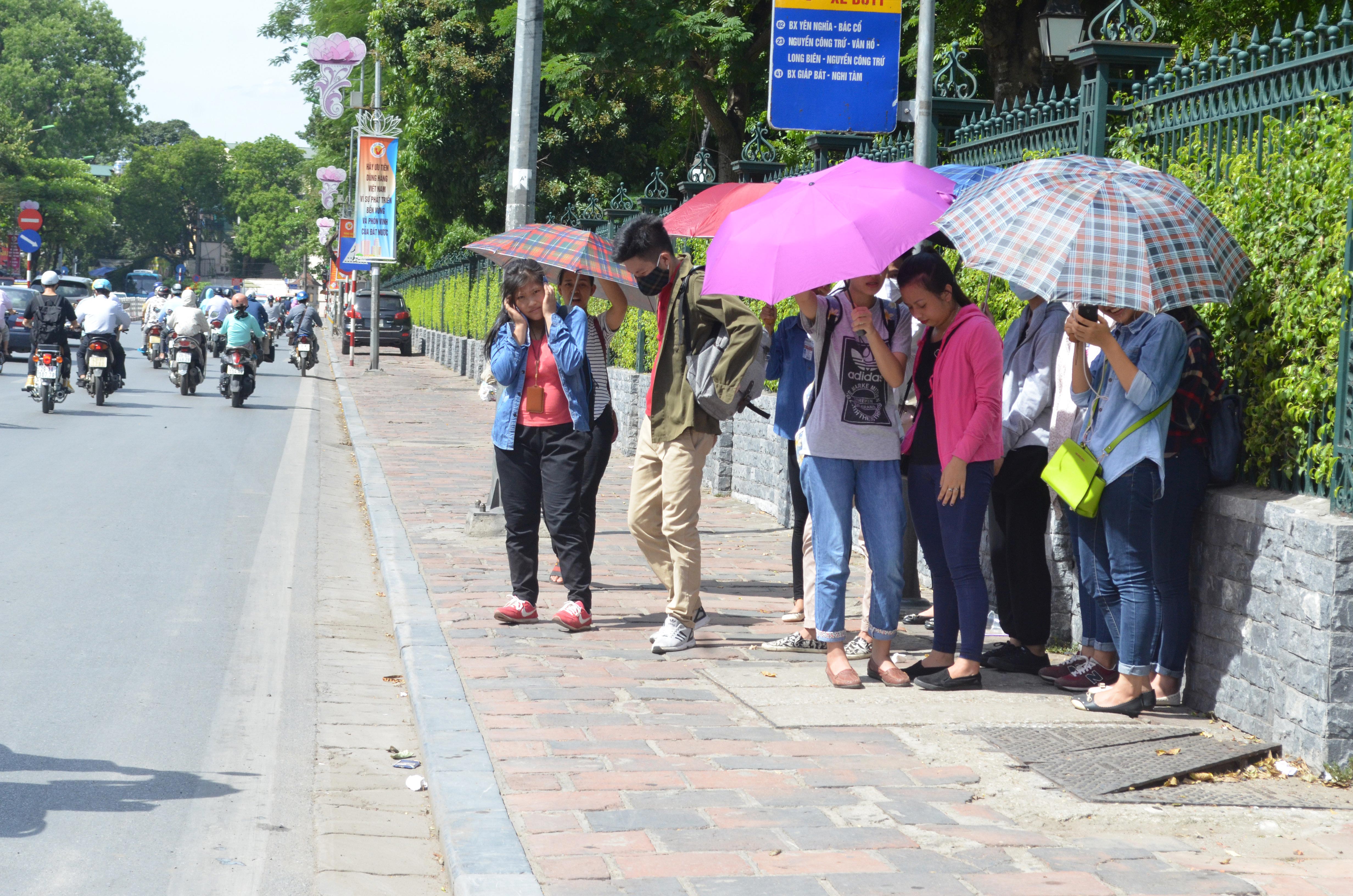 Quay cuồng vì nắng nóng