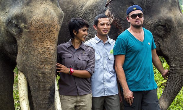 Indonesia đe dọa trục xuất Leonardo DiCaprio