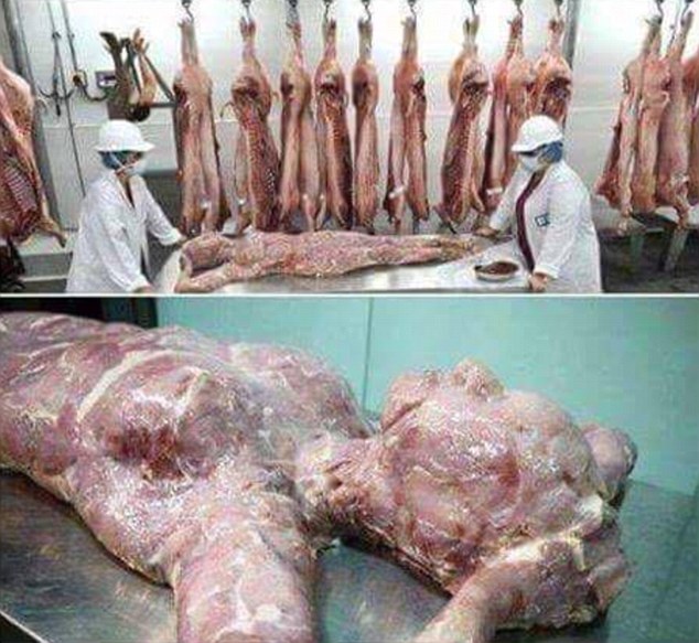 Truy ra nguồn cơn vụ "Trung Quốc đóng hộp thịt người"