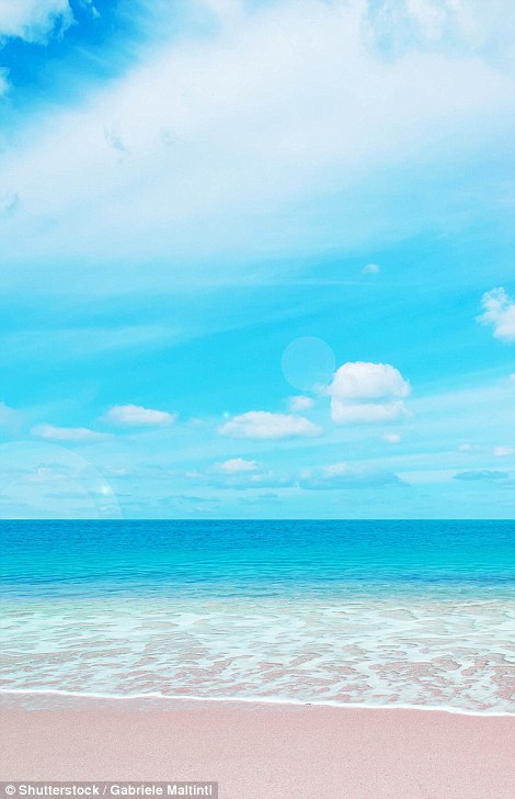 Biển hồng tại đảo Sardinia - Ý. Ảnh: Shutterstock