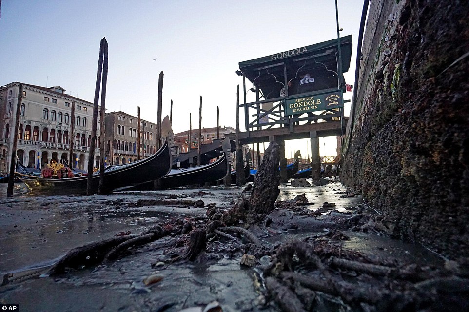 Những hình ảnh khác lạ về TP Venice. Ảnh: EPA, AP