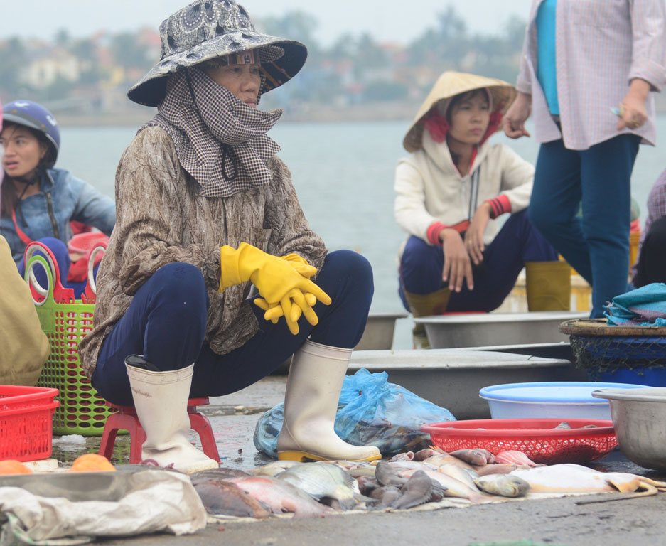 Vụ cá chết bất thường ở Bắc Trung Bộ: Nghiêm cấm bán cá chết