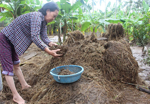 Kiệt quệ sau lũ