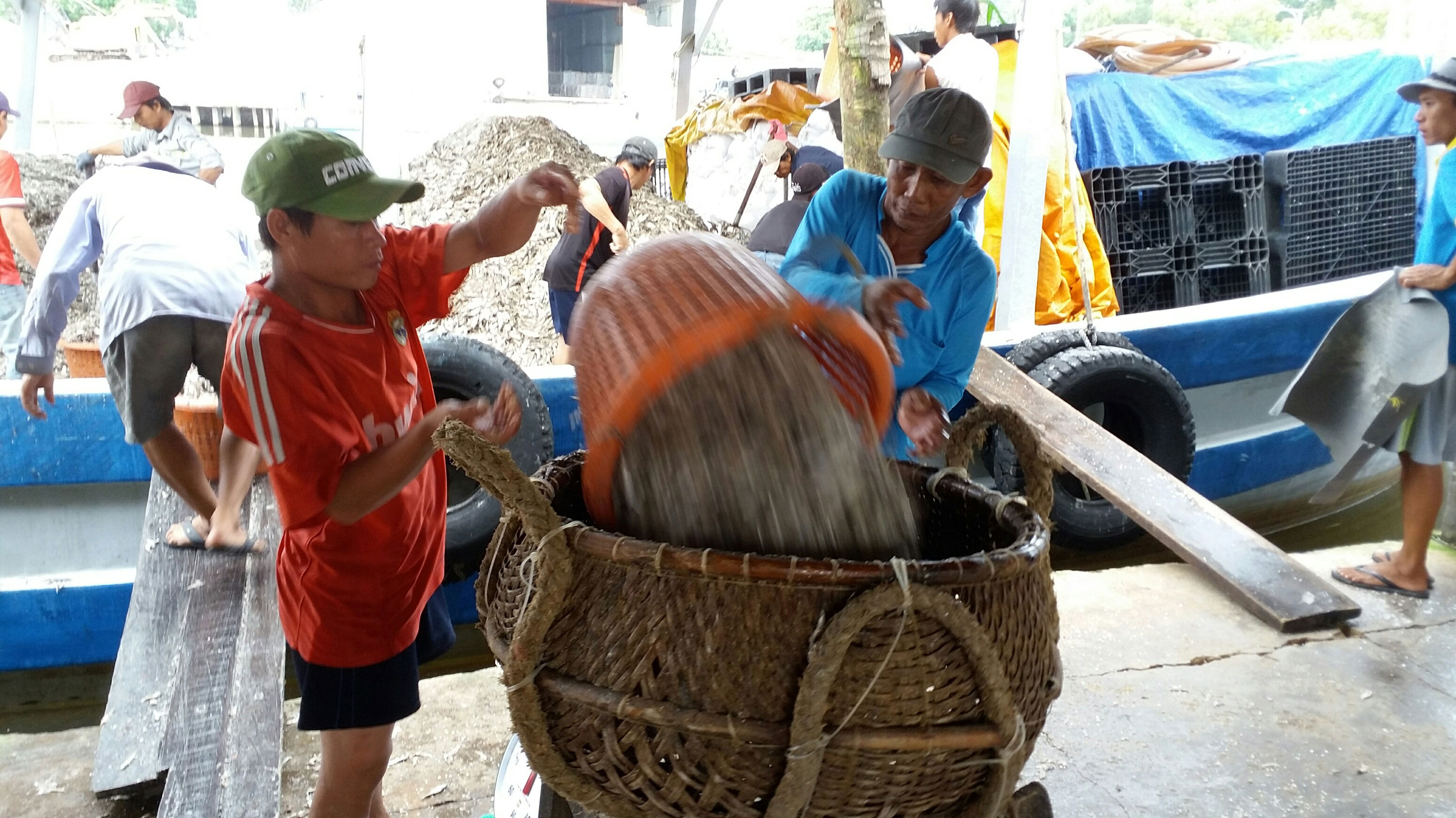 VINASTAS có thể bị đình chỉ hoạt động