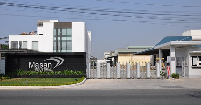 MSN phát hành cổ phiếu thưởng 50% và chia cổ tức bằng tiền