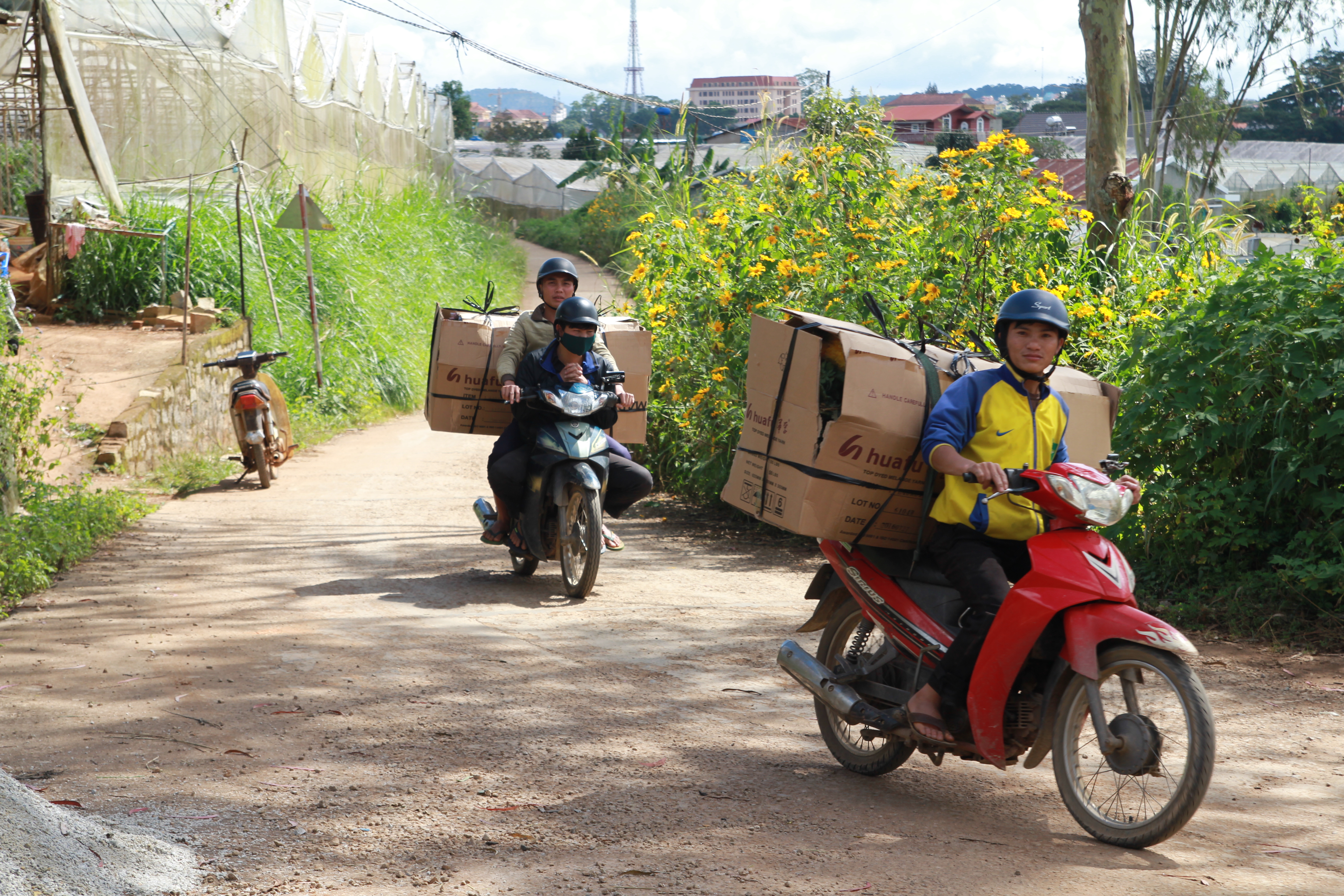 
Sinh vi&ecirc;n t&uacute;c trực nhiều ng&agrave;y mới mua được &iacute;t hoa để b&aacute;n kiếm lời.
