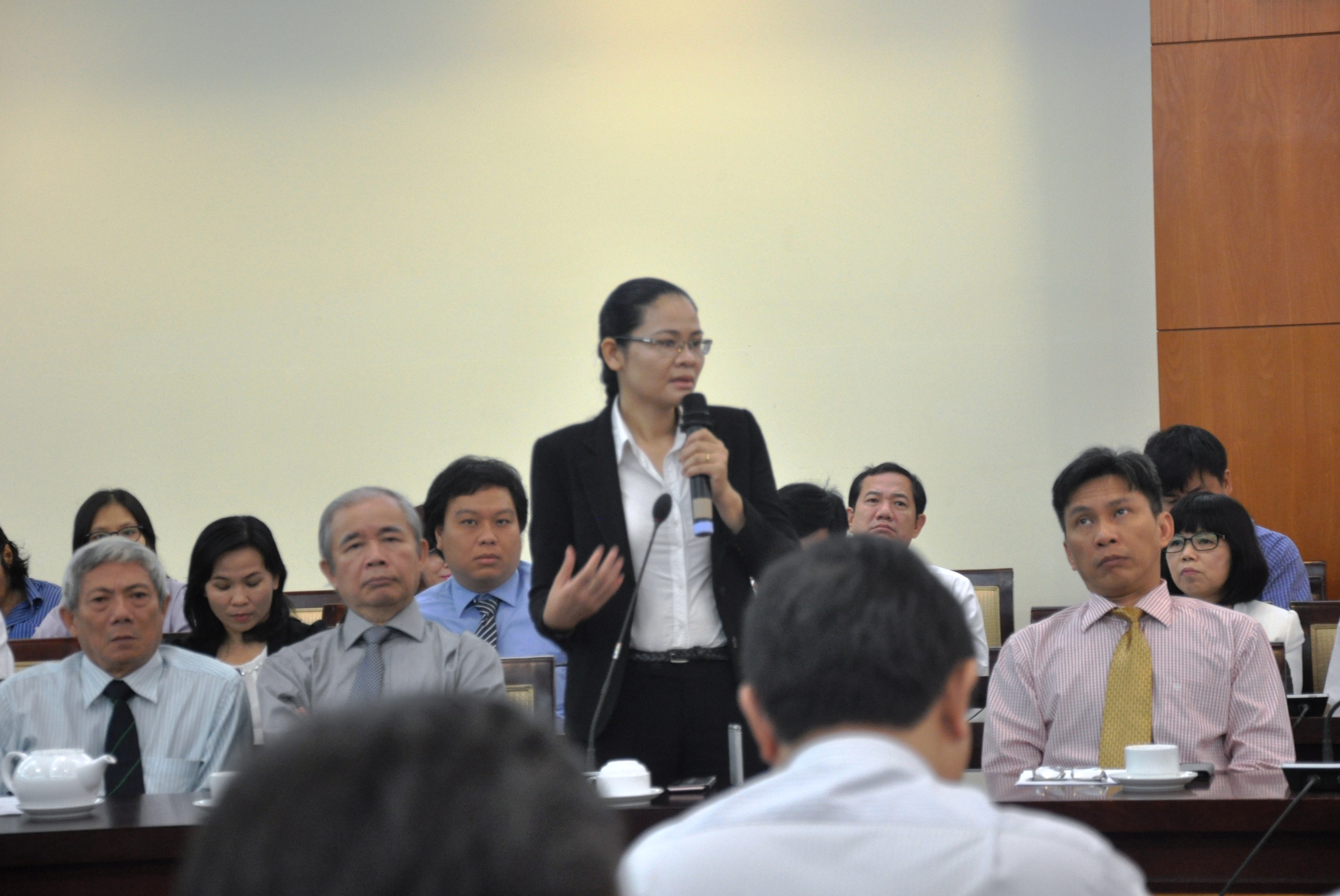 
TS Đỗ Thị Hồng Tươi đ&oacute;ng g&oacute;p &yacute; kiến tại buổi gặp gỡ
