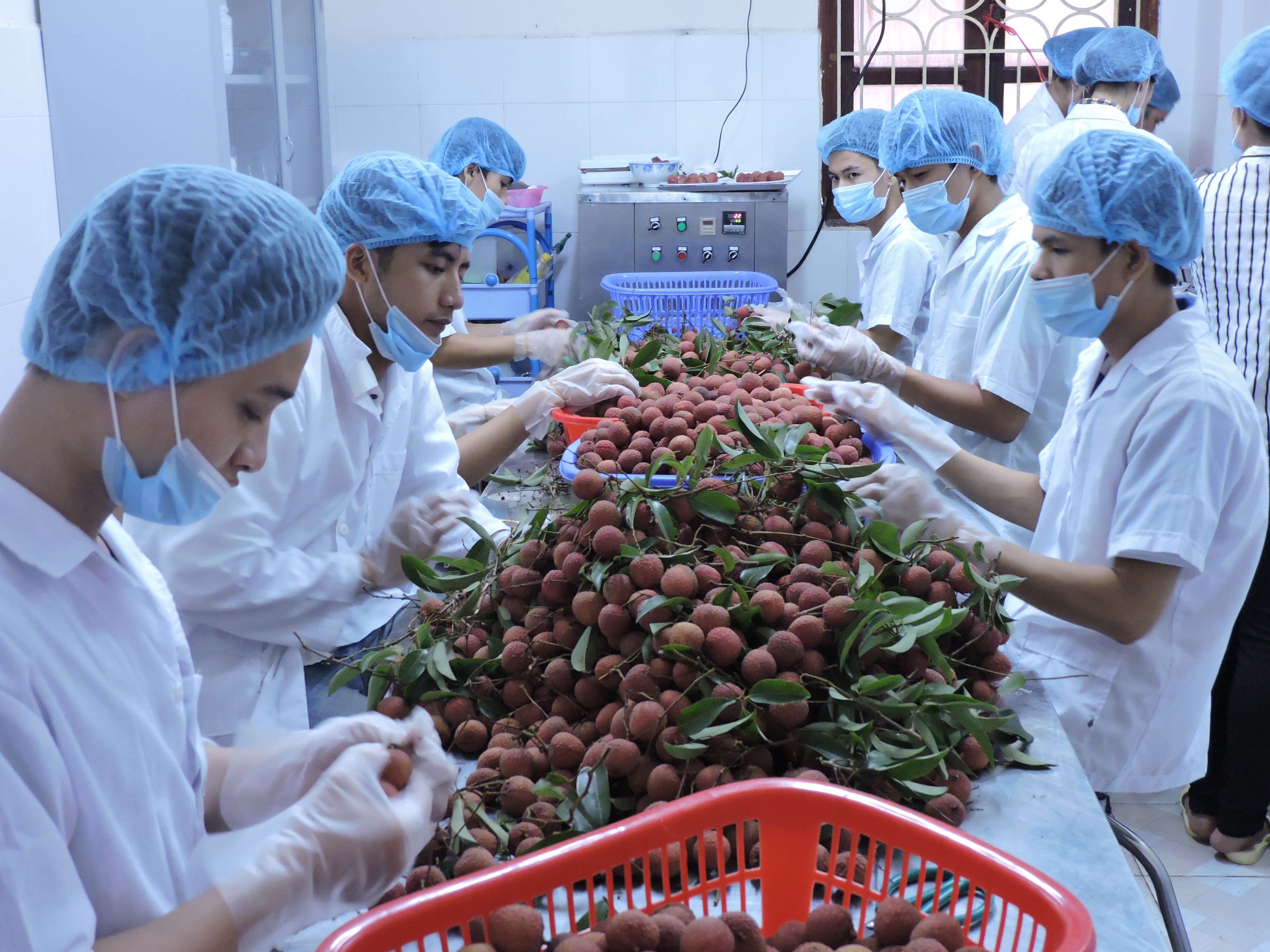 Rào cản đất đai làm khó doanh nghiệp