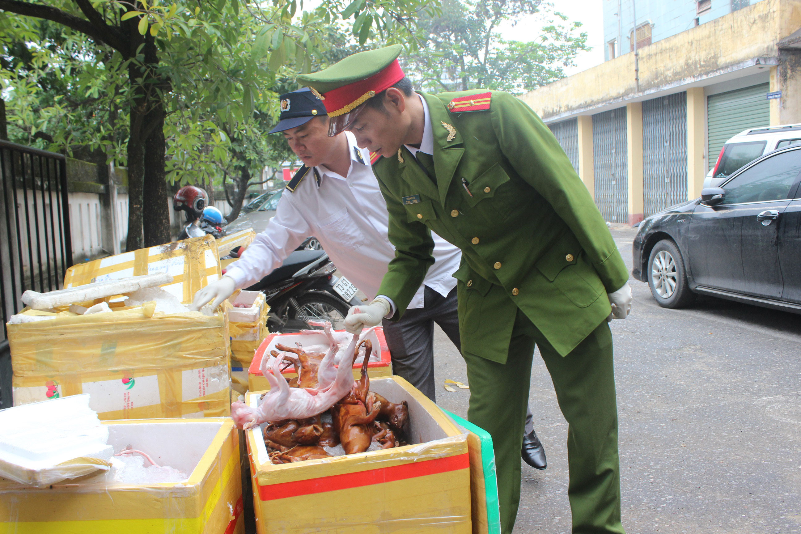 Bắt giữ nhiều vụ vận chuyển, tàng trữ thịt thối