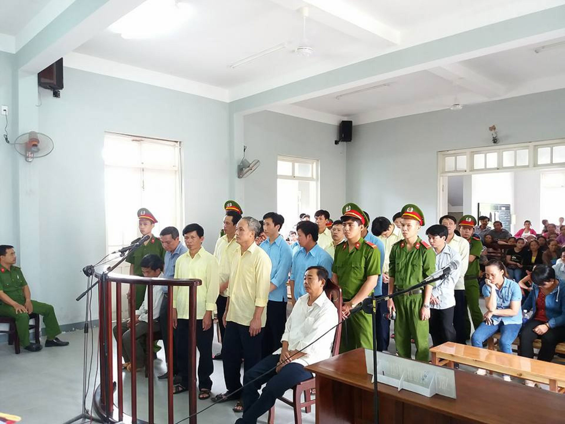 Đà Nẵng: Nguyên trưởng Trạm Bảo vệ rừng Cà Nhông hầu tòa