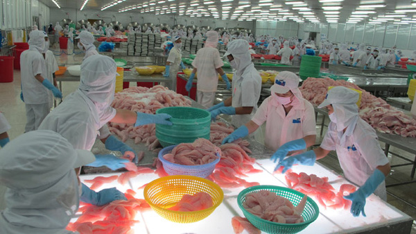 Kiểm soát chặt thủy sản xuất sang Trung Quốc