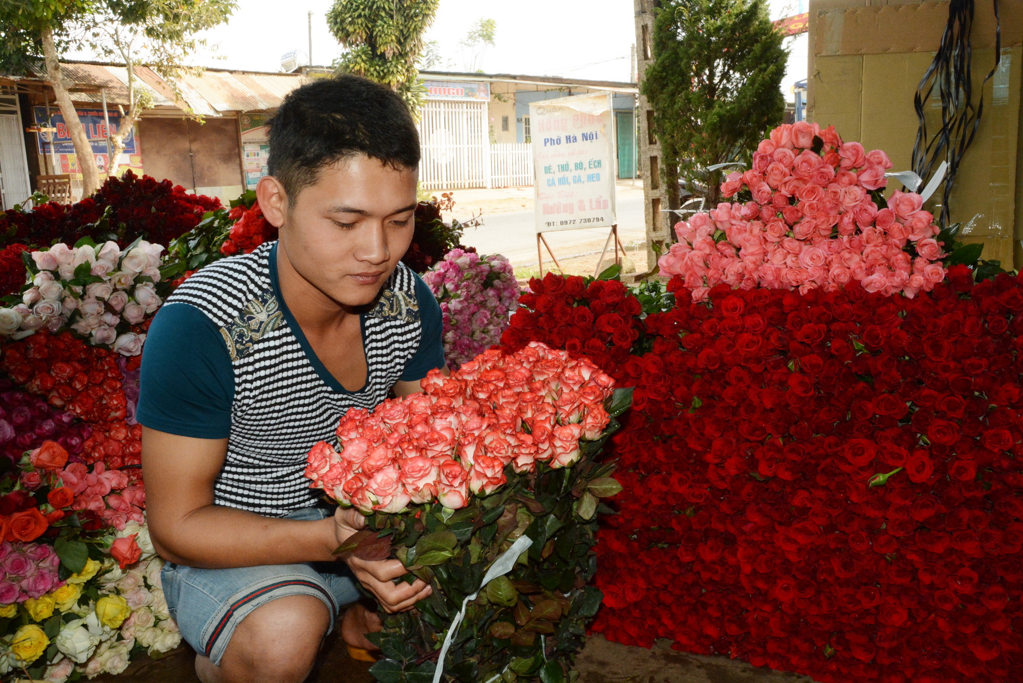 
C&aacute;c loại hoa hồng tại chủ vựa c&oacute; gi&aacute; 5.000 - 5.700 đồng/b&ocirc;ng, tăng gấp 3 lần ng&agrave;y thường.
