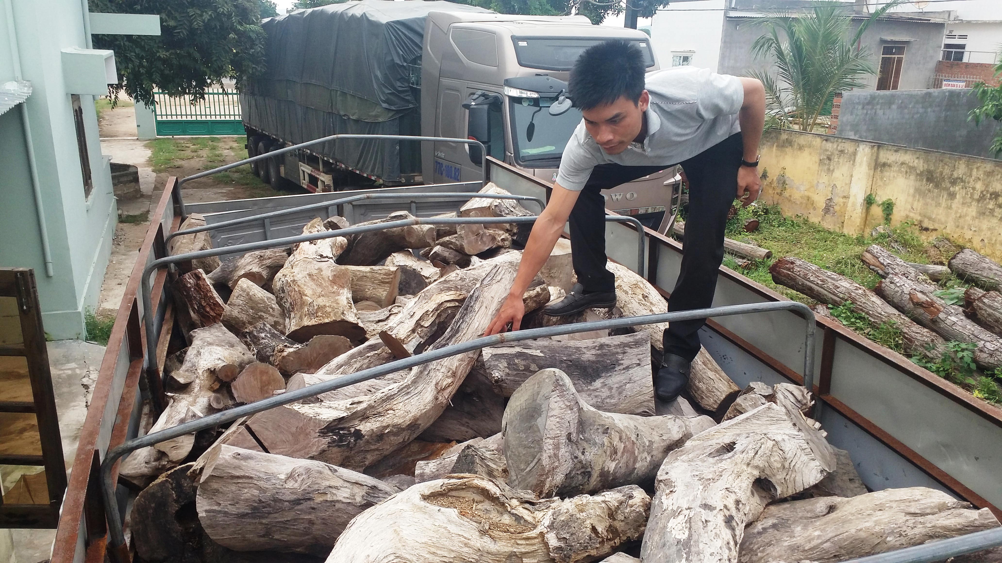 
Xe chở gỗ qu&yacute; bị tạm giữ tại Hạt Kiểm l&acirc;m thị x&atilde; Ayun Pa (tỉnh Gia Lai)
