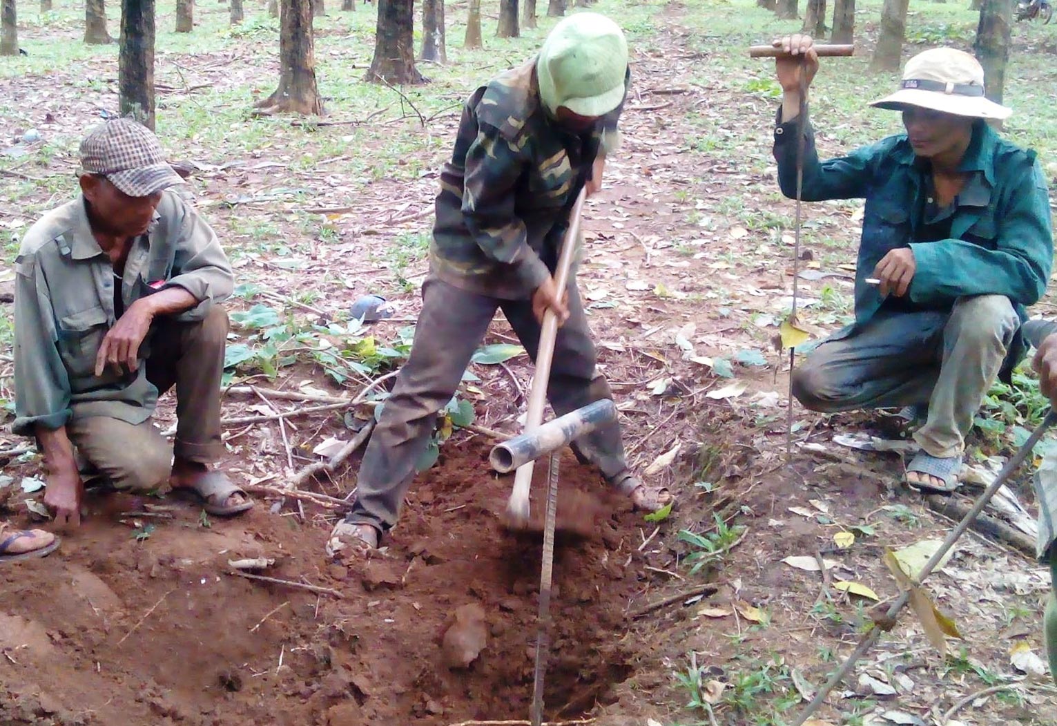
Người d&acirc;n T&acirc;y Nguy&ecirc;n t&igrave;m gỗ qu&yacute; để b&aacute;n cho thương l&aacute;i
