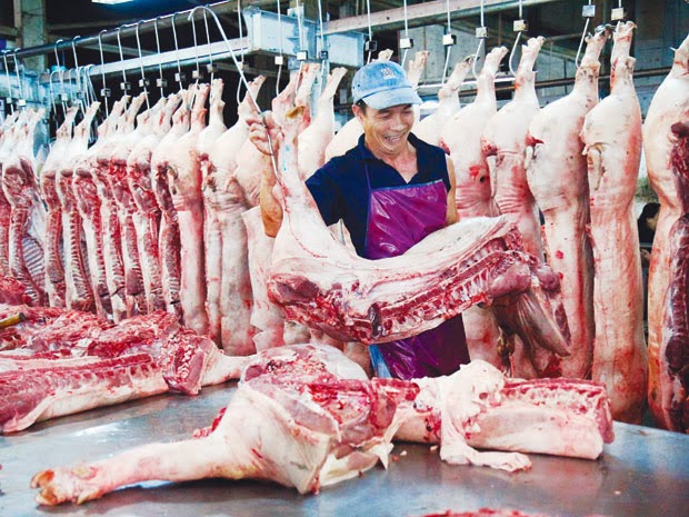'Bong bóng' giá thịt heo vì Trung Quốc