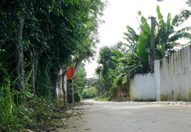Đi học về, nữ sinh lớp 6 bị chích kim tiêm dính máu vào người