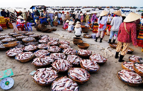 Muốn thu mua hàng ở cảng cá Phước Tỉnh không dễ nếu không đóng hụi chết cho giang hồ. Ảnh: minh họa