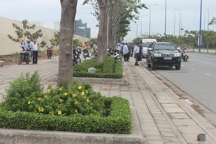 Triệt xe dù, bến cóc
