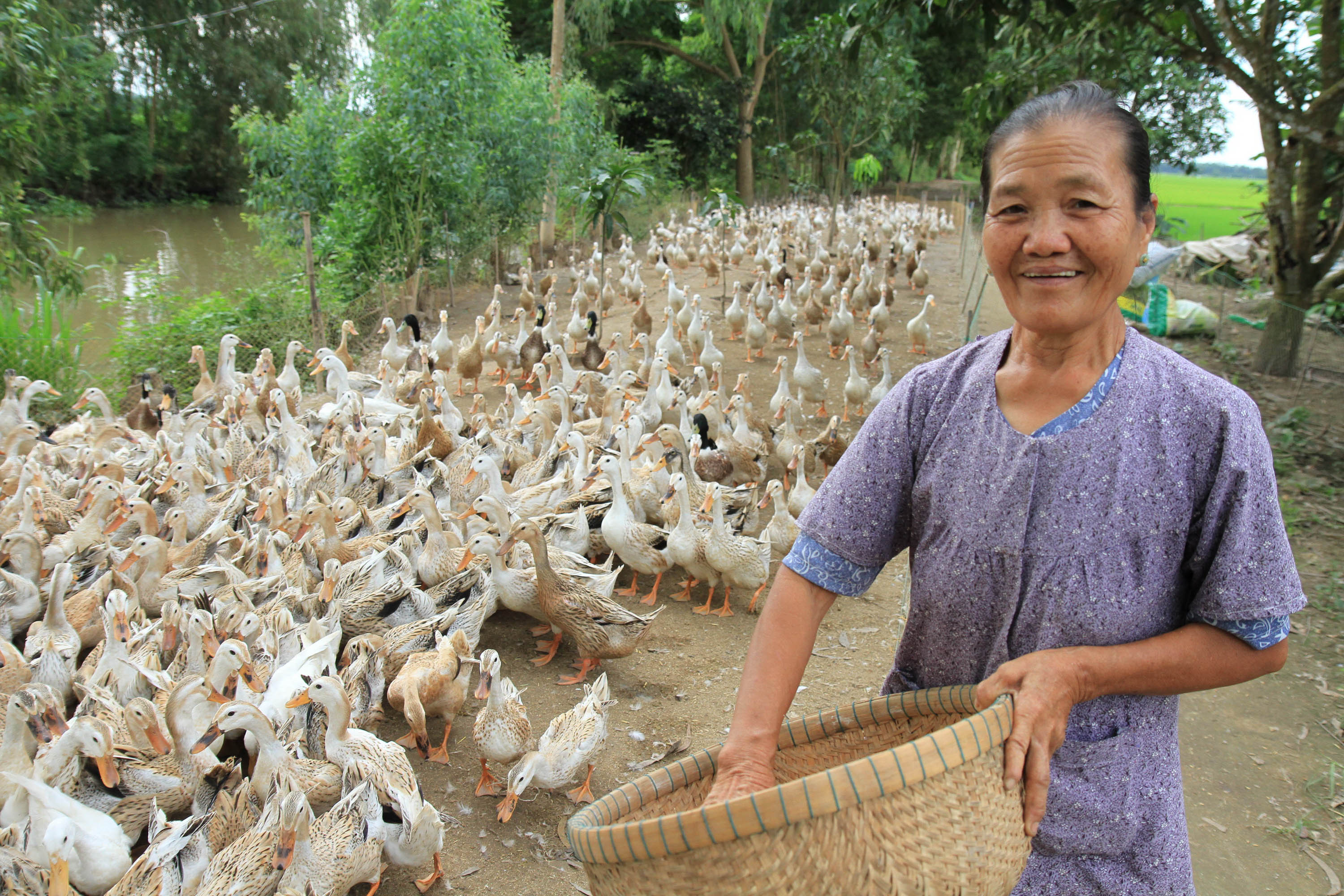 Vay tiền để làm... từ thiện