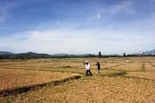 Xây kênh chống hạn, ruộng vẫn khô khát