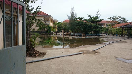 Sân trường như ao